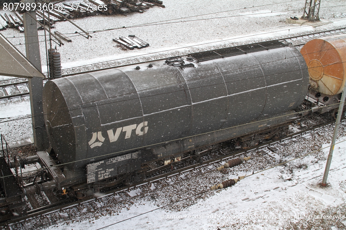 807989360-8_37_Zaes.JPG